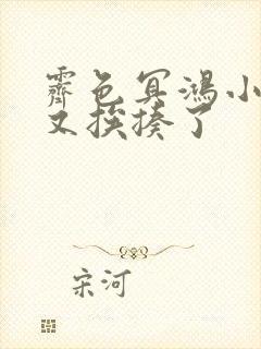 霁色冥鸿小王妃又挨揍了