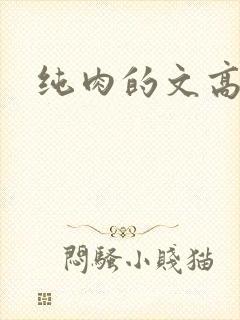 纯肉的文高h封面