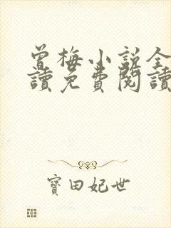 曾梅小说全文阅读免费阅读最新章节