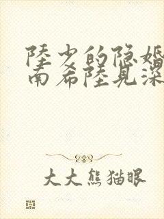 陆少的隐婚罪妻南希陆见深封面