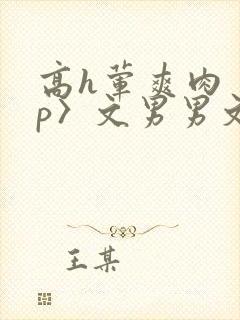 高h荤爽肉〈np〉文男男文封面