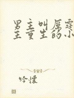 男主叫厉霆骁女主重生的小说