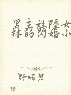 男主姓陆女主姓林的闪婚小说封面