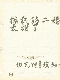 总裁的二婚娇妻太甜了封面