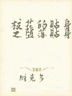 校花的贴身高手之堕落贴身校花