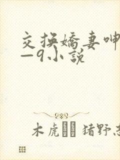 交换娇妻呻吟1—9小说封面