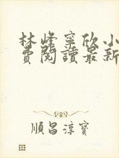 林峰宁欣小说免费阅读最新章节