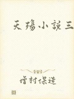 天殇小说三部曲封面