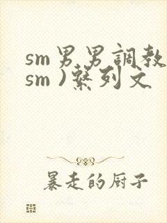sm男男调教(sm )系列文