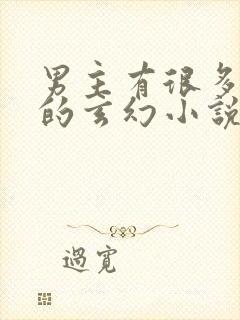 男主有很多女人的玄幻小说