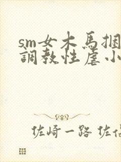 sm女木马捆绑调教性虐小说