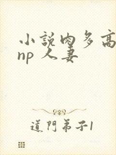 小说肉多高h np 人妻封面