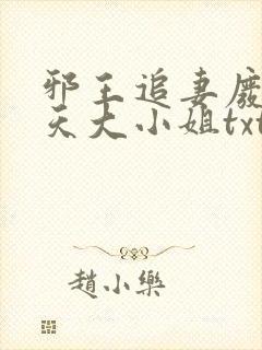 邪王追妻废材逆天大小姐txt下载