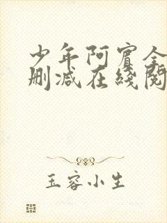 少年阿宾全文无删减在线阅读