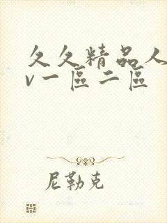 久久精品人妻av一区二区