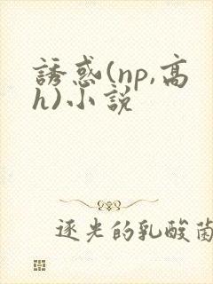 诱惑(np,高h)小说