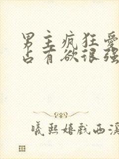 男主疯狂爱女主占有欲很强的小说封面