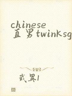 chinese直男twinksgay封面