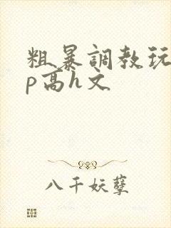 粗暴调教玩弄np高h文