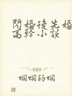 闪婚后先婚后爱高干小说