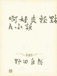 啊好爽轻点啊嗯h小说