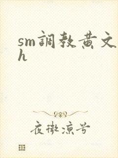sm调教黄文高h封面