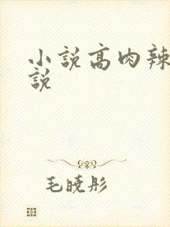小说高肉辣文小说封面