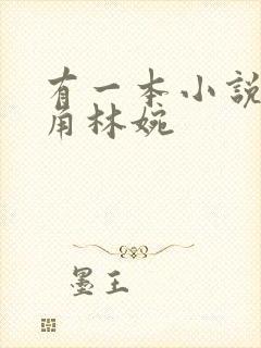 有一本小说女主角林婉