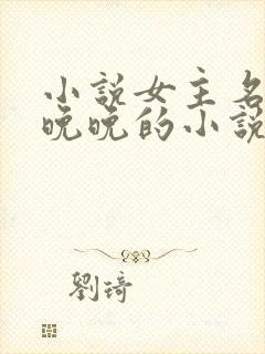 小说女主名叫林晚晚的小说