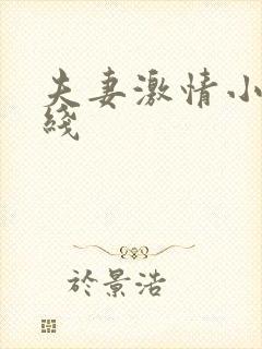 夫妻激情小说在线