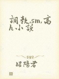 调教,sm,高h小说