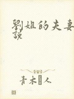 刘姐的夫妻奴小说封面