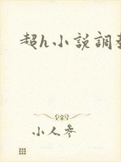 超h小说调教封面
