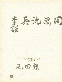 李兵沈思同款小说