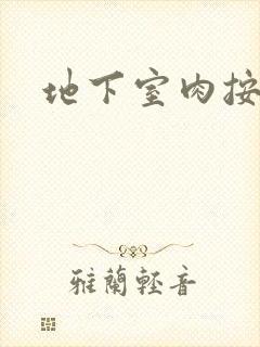 地下室肉按摩椅封面