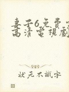 妻子6免费完整高清电视剧在线