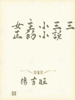 女主小三三观不正的小说封面