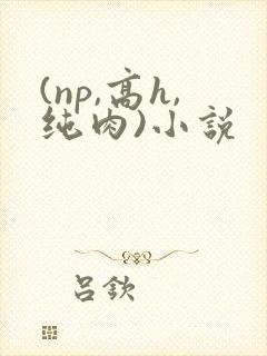 (np,高h,纯肉)小说