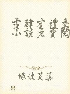 霍肆宥礼季毓清小说免费阅读全文无