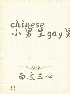 chinese小男生gay男男网站