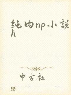 纯肉np小说高h
