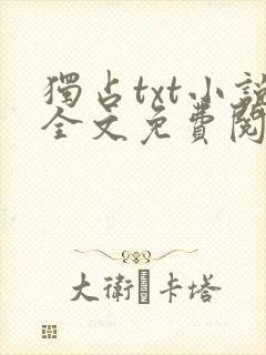 独占txt小说全文免费阅读