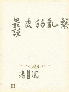 最爽的乱系列小说