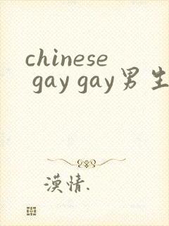 chinese gay gay男生互操网站封面