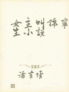 女主叫锦宁的重生小说封面