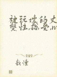 被玩坏的丈夫(双性,总受,ntr)