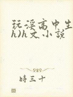 玩淫高中生(高h)h文小说封面