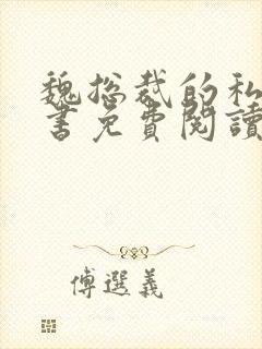 魏总裁的私人秘书免费阅读