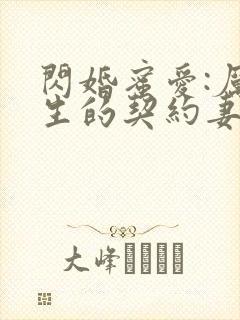 闪婚蜜爱:厉先生的契约妻