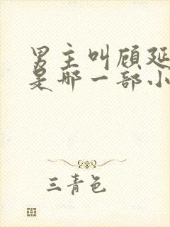 男主叫顾延之的是哪一部小说封面